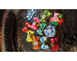 elad_hajgumi_kutynak_2