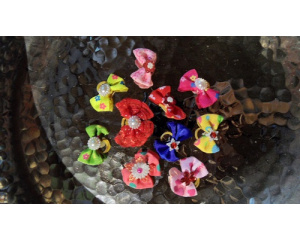 elad_hajgumi_kutynak_6