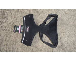 elad_kutya_prz_s_nyakrv_11