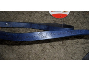 elad_kutya_prz_s_nyakrv_14