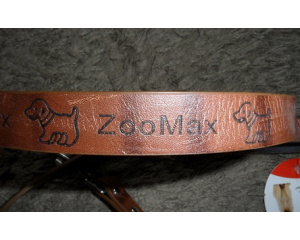 elad_kutya_prz_s_nyakrv_16