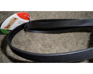 elad_kutya_prz_s_nyakrv_20