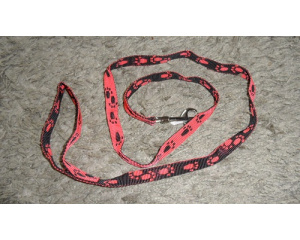 elad_kutya_prz_s_nyakrv_21