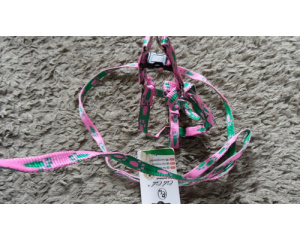 elad_kutya_prz_s_nyakrv_22