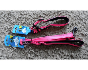 elad_kutya_prz_s_nyakrv_27