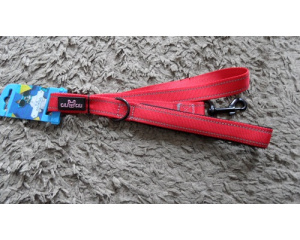 elad_kutya_prz_s_nyakrv_31