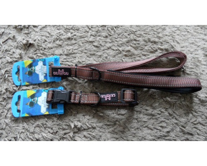 elad_kutya_prz_s_nyakrv_34