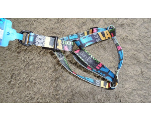 elad_kutya_prz_s_nyakrv_4