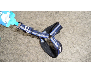 elad_kutya_prz_s_nyakrv_7