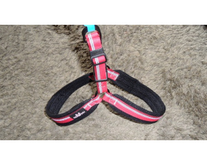 elad_kutya_prz_s_nyakrv_8