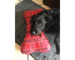 Csont alakú párna kutyáknak piros/kockás