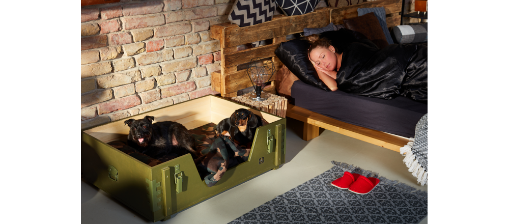 kutyafekhely vagner állatbútor