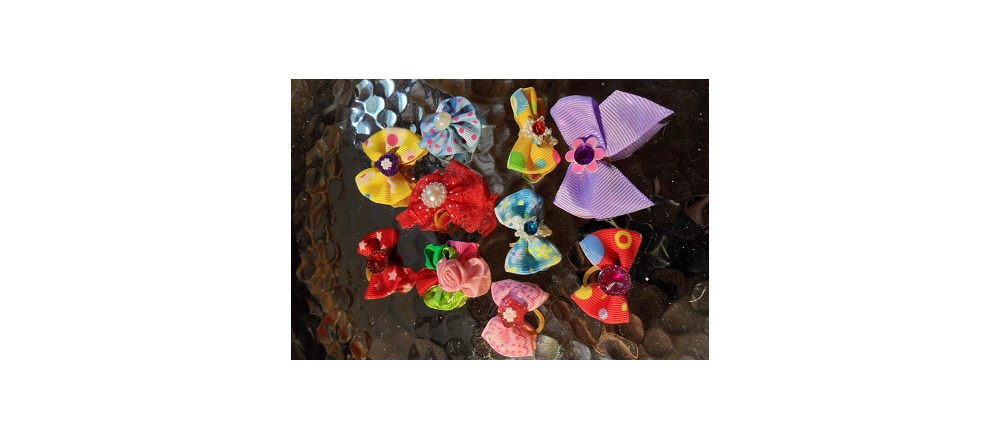 elad_hajgumi_kutynak_3