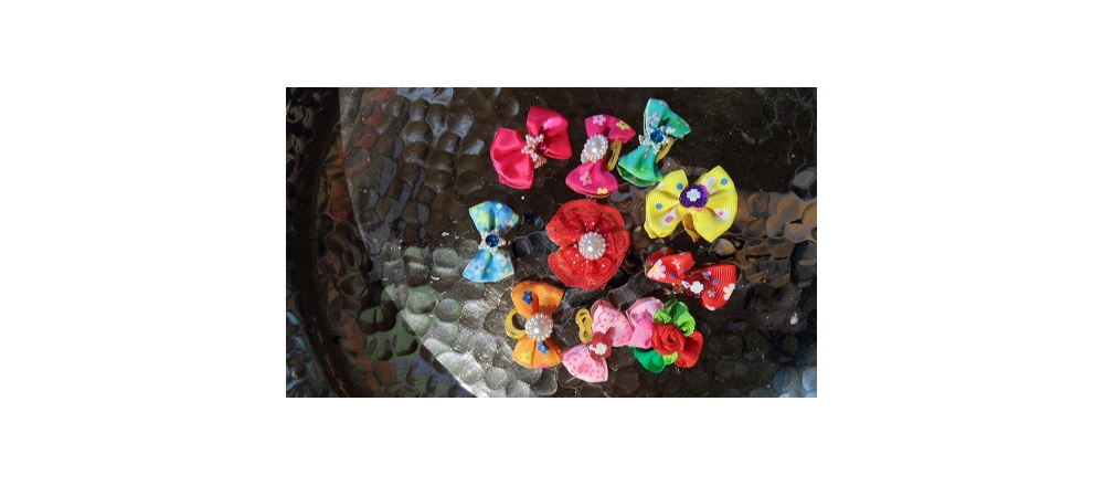 elad_hajgumi_kutynak_5