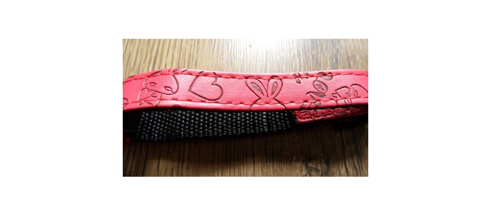 elad_kutya_prz_s_nyakrv_46