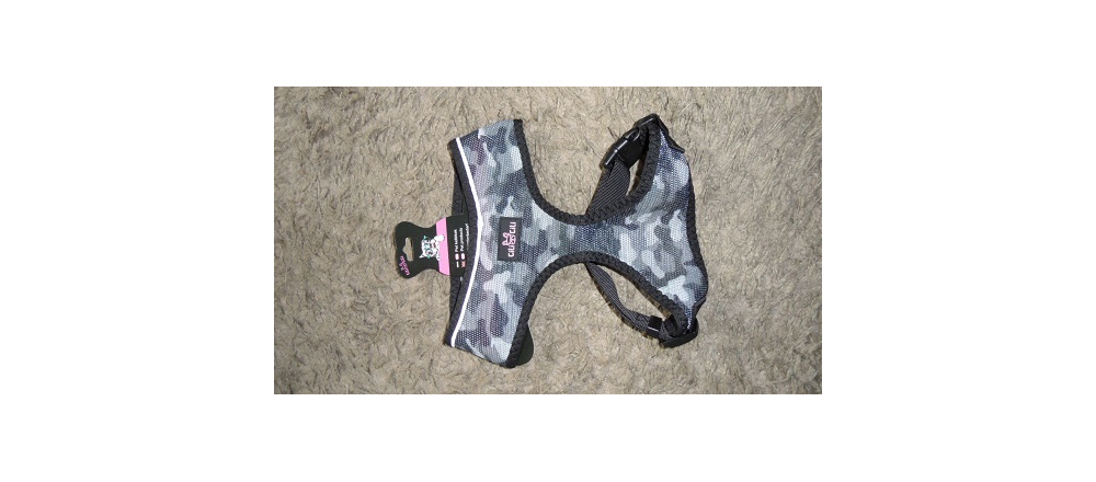 elad_kutya_prz_s_nyakrv_5_438034716