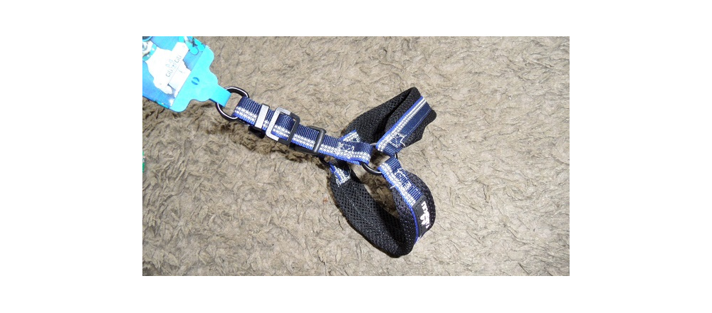 elad_kutya_prz_s_nyakrv_7_1668242943