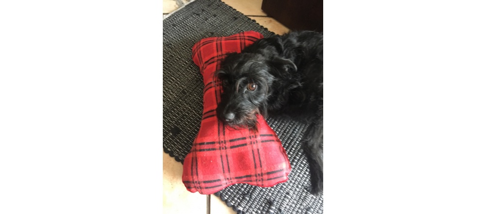 Csont alakú párna kutyáknak piros/kockás